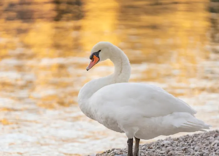 Otel Val Di Sogno - Adults Only