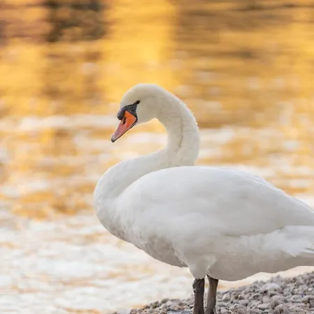 Hotel Val Di Sogno - Adults Only